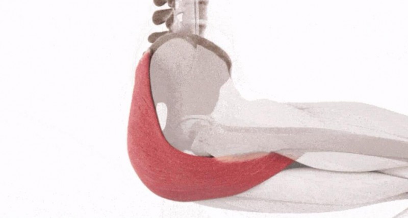 26岁女孩患上死臀综合征 死臀综合症是啥该如何解决