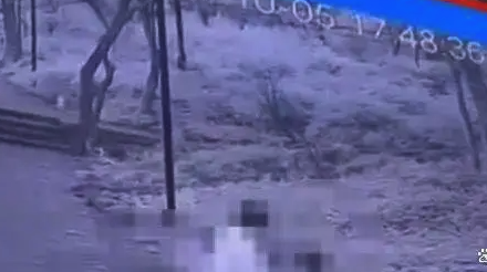 全程视频！男女野外不雅画面被监控拍下