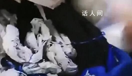 校服内掏出大把碎布?校方:谣言