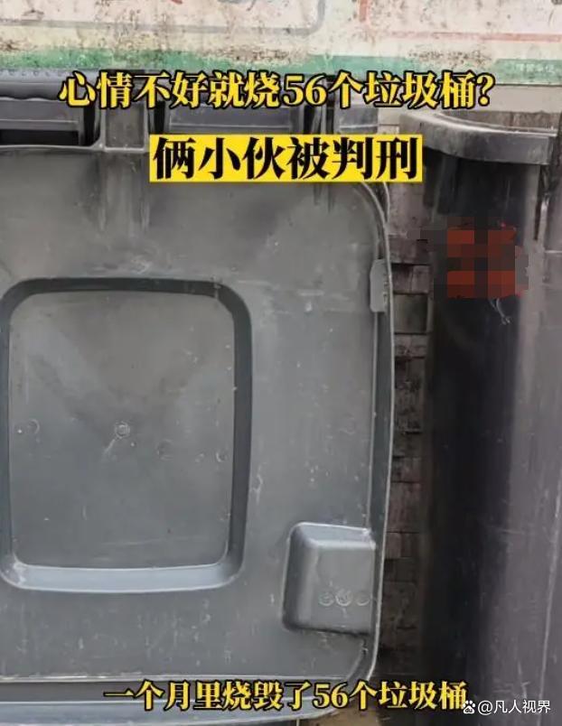 两男子因为心情不好烧56个垃圾桶 极端的情绪表达方式让他们最终获刑