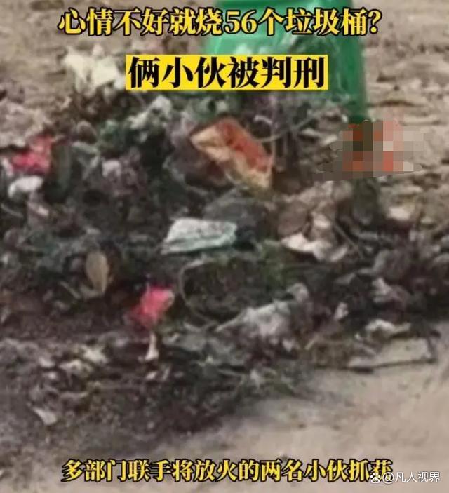 两男子因为心情不好烧56个垃圾桶 极端的情绪表达方式让他们最终获刑