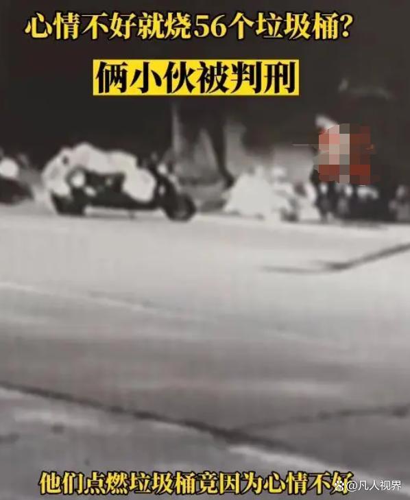 两男子因为心情不好烧56个垃圾桶 极端的情绪表达方式让他们最终获刑