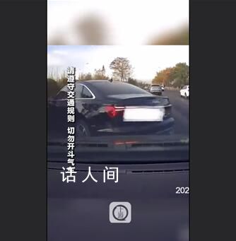 奥迪轿车恶意别车被撞进绿化带 后车几次避让仍继续别车