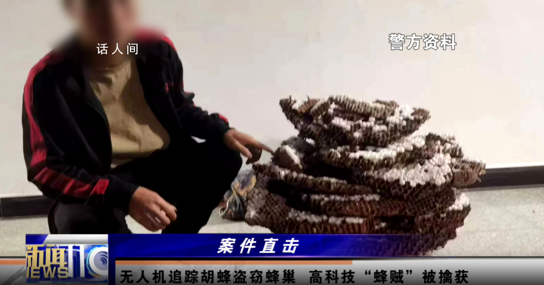 两男子偷价值4600余元胡蜂蜂巢被拘 案件正在进一步侦办中