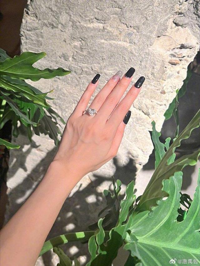 唐禹哲公开混血未婚妻 颜值超高