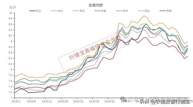一夜翻盘！猪价再迎满堂红 养殖端挺价情绪高涨