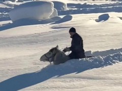 男子骑马在雪地里艰难出行 安全第一