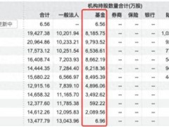 终于找到:寒武纪股价大跌再引发ETF产品争议 市场看法分歧大