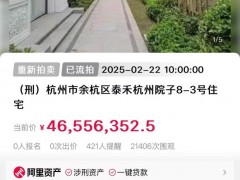 终于找到杭州某豪宅涨831万后又流拍 市场不买账