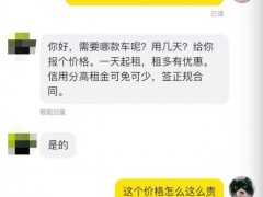 总算找到特斯拉FSD车主：一天租金4000元，高价出租抢占流量