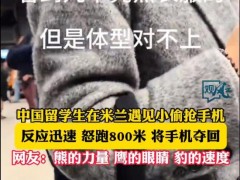 [快讯]中国女留学生在米兰被偷抢 英勇追回手机