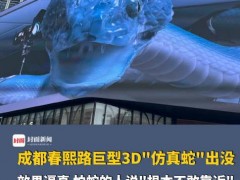成都春熙路巨型3D蛇太逼真引争议 律师说了什么？