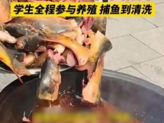 高校捞80000斤鱼请全校师生吃！！（图）