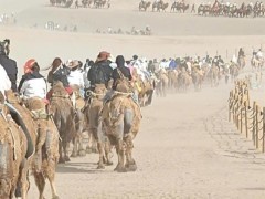 [快讯]国庆假期敦煌鸣沙山快被人海淹没 骆驼队堵成风景