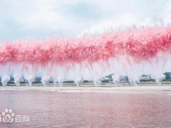 [快讯]蔡国强在巴黎再办烟花秀 白色焰火震撼人心