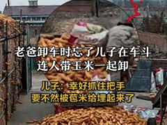 [快讯]儿子卸苞米时险被父亲“活埋” 所幸该男子成功脱险