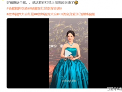 [快讯]杨幂指挥交通 红毯反差萌引发热议