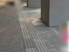 [快讯]西安多棵行道树被指用水泥砌墙围起来 树池加固消除隐患