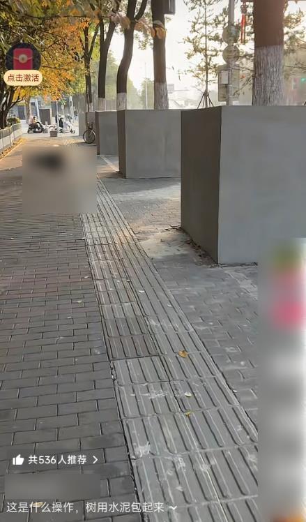 西安多棵行道树被指用水泥砌墙围起来