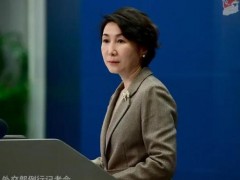 [快讯]中方辟谣利用虚假账户推广歼-35 报告无公信力