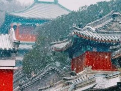 [快讯]“双十二”最强雨雪天气已到货 多地积雪留存至周末