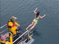 女演员任敏回应在南极生理期跳冰海 究竟啥情况？