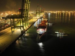 [快讯]北方今冬首船智利车厘子抵津 丰富百姓餐桌