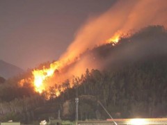 [快讯]深圳坪山突发山火 消防紧急扑救中