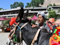 驴1天片酬500元 600年古村全员演技派！！（图）