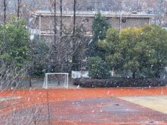 [快讯]杭州初雪成了孩子们特别的记忆 校园里的冬日欢歌