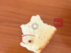 [快讯]知名品牌被曝牛奶吐司吃出牙齿 食环署报告确认异物特征