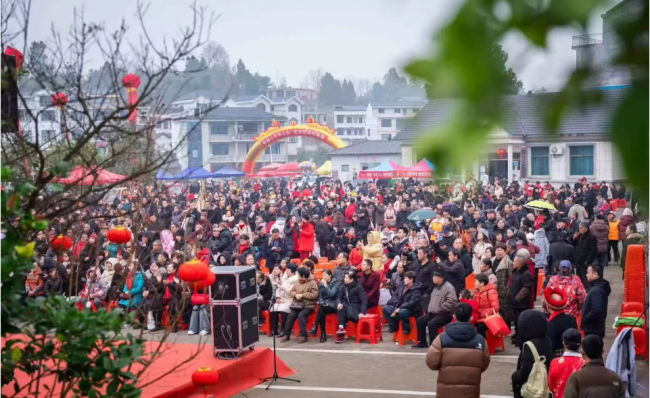 在苗寨沉浸式过年 抓鱼又追猪