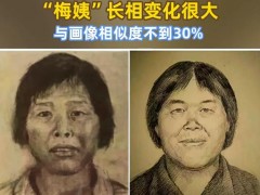 [快讯]知情人士：“梅姨”长相变化很大 真实样貌大不同