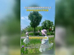 [快讯]女儿来看演唱会 张杰现场喊话 为爱破例