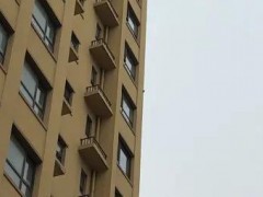 [快讯]女子崩溃投诉装修噪音扰民 竟是啄木鸟“作案”