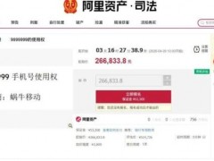 [快讯]尾号9999999手机号26余万起拍 曾流拍再上架