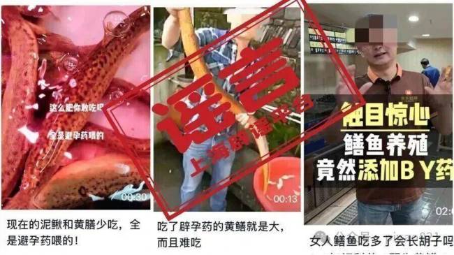 黄鳝被喂避孕药是传了30年的谣言