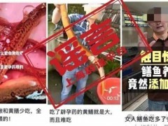 [快讯]黄鳝被喂避孕药是传了30年的谣言 真相揭秘