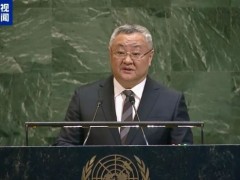 [快讯]傅聪：以色列必须停止非法定居点活动 呼吁坚持“两国方案”