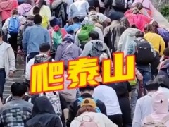 堵山、堵海、堵桥、堵路！！（图）