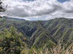 [快讯]温州这个村光靠卖“空气”赚了近30万元？