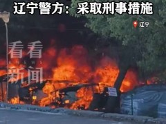 老人烧杨絮引燃20辆汽车 随意举动酿大祸[快讯]
