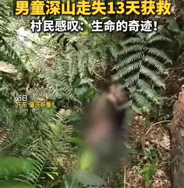 男童走失深山13天获救 当地千人搜山