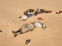 尼日尔卡车沙漠抛锚至少49人渴死 撒哈拉悲剧再现[快讯]