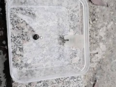 蜱虫花露水：意外助其脱落化险为夷[快讯]