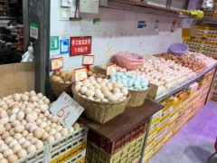 鸡蛋何时降价 市场供需缺口持续[快讯]