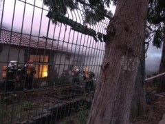 上海一住宅因一锅粽子发生火情 无人看管酿成灾祸[快讯]