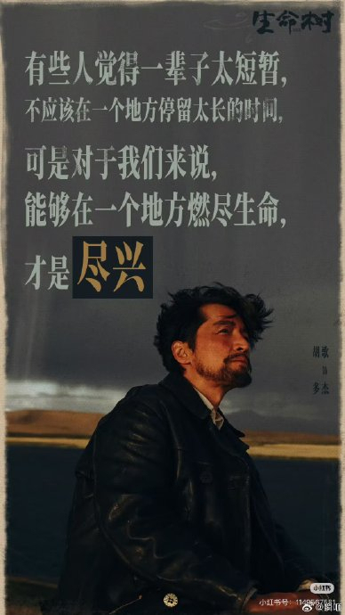 胡歌杨紫亮相白玉兰荣耀之夜