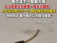 重庆连下大雨天花板长出蘑菇 顶楼漏水警钟[快讯]
