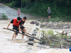 聊聊:广西融安党员干部涉水清障护桥 风雨中守护安全